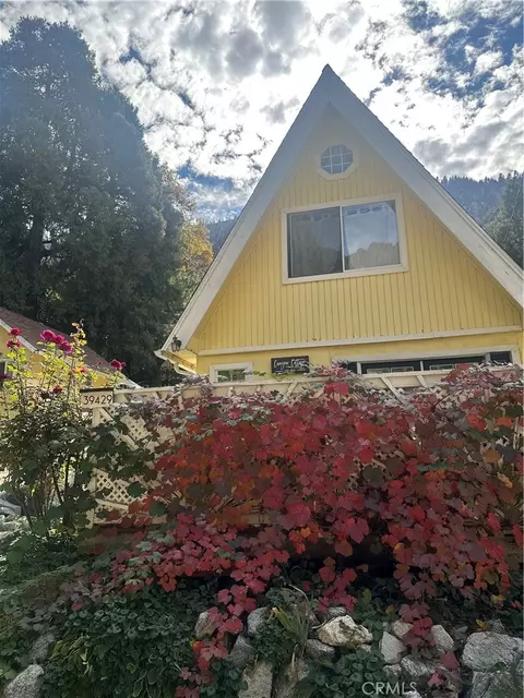 Other - 39429 Canyon Dr, Forest Falls, CA 92339 photo 13 of 15