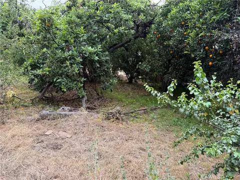 Exterior - 2415 Sierra, Upland, CA 91784 photo 12 of 22