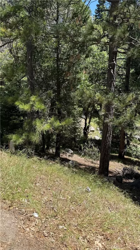 0 Thunderbird, Lake Arrowhead, CA 92352 photo 3