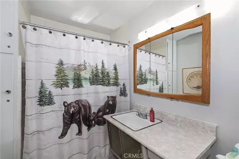 Bath - 39605 Lake, Big Bear Lake, CA 92315 photo 1 of 1