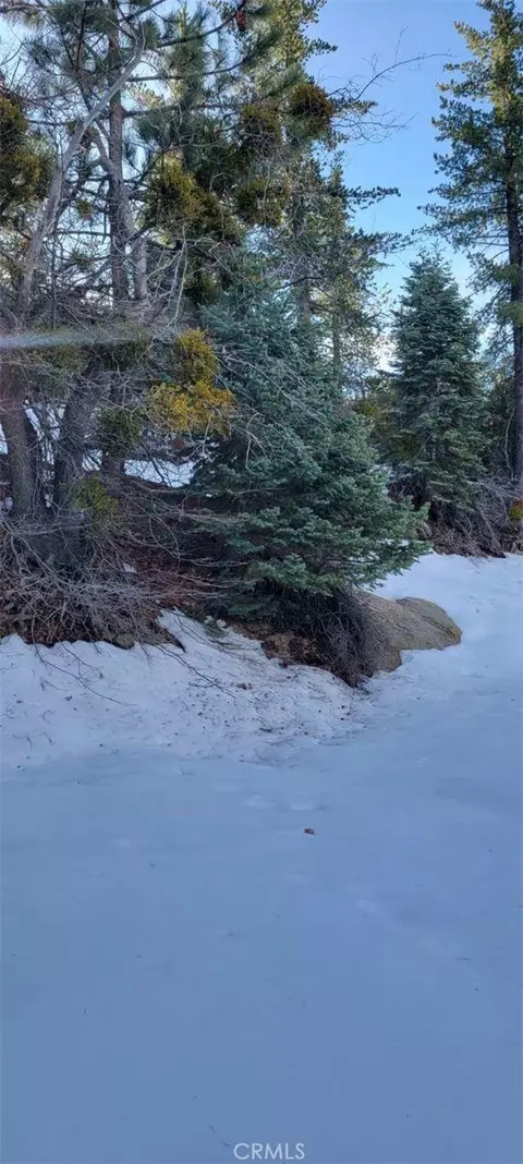 0 No Assigned, Arrowbear, CA 92382 photo 6