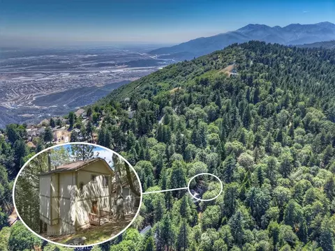 View/Area - 955 Coulter Pne, Crestline, CA 92325 photo 1 of 1