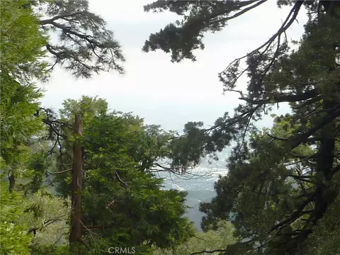 View/Area - 21531 Sawpit Canyon Rd, Cedarpines Park, CA 92322 photo 1 of 2