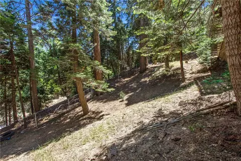 Exterior - 24634 Bernard Dr, Crestline, CA 92325 photo 6 of 6