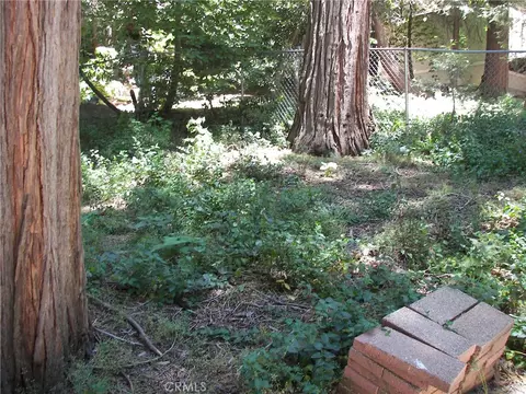 Exterior - 1101 Big Tree, Crestline, CA 92325 photo 7 of 11