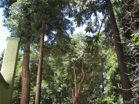 Exterior - 1101 Big Tree, Crestline, CA 92325 photo 9 of 11