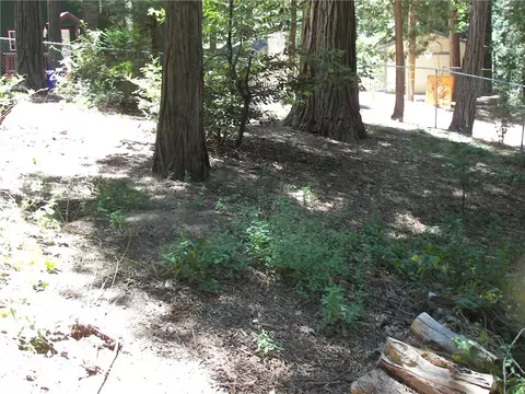 Exterior - 1101 Big Tree, Crestline, CA 92325 photo 3 of 11