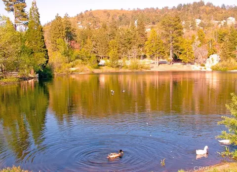 32988 Arrowbear Dr, Arrowbear Lake, CA 92382 photo 28