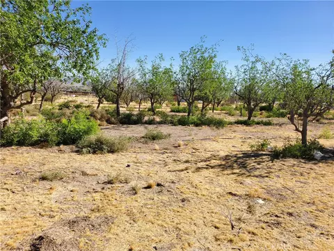 9870 Cody, Lucerne Valley, CA 92356 photo 6