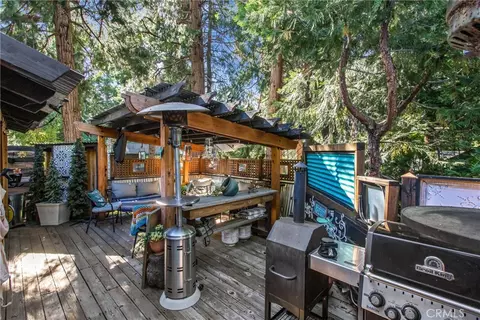Exterior - 40940 Pine Dr, Forest Falls, CA 92339 photo 6 of 9
