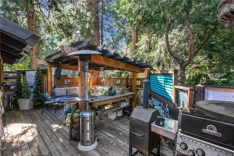 Exterior - 40940 Pine Dr, Forest Falls, CA 92339 photo 6 of 9