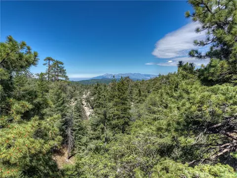 0 Maple Ln, Green Valley Lake, CA 92341