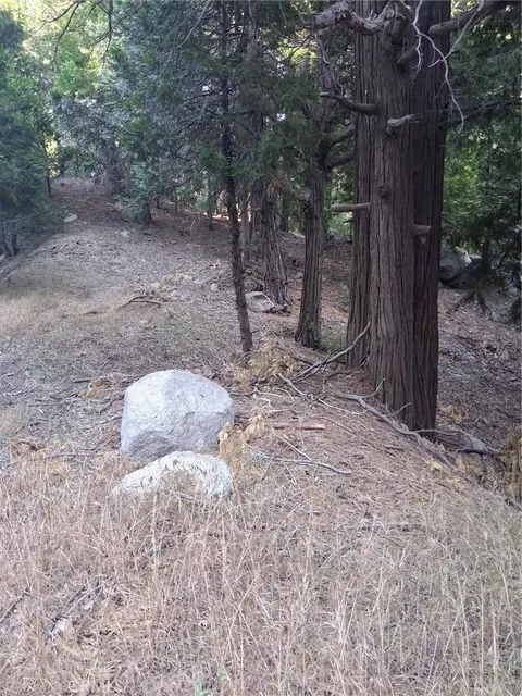 6 Finhaut Dr, Crestline, CA 92325 photo 2