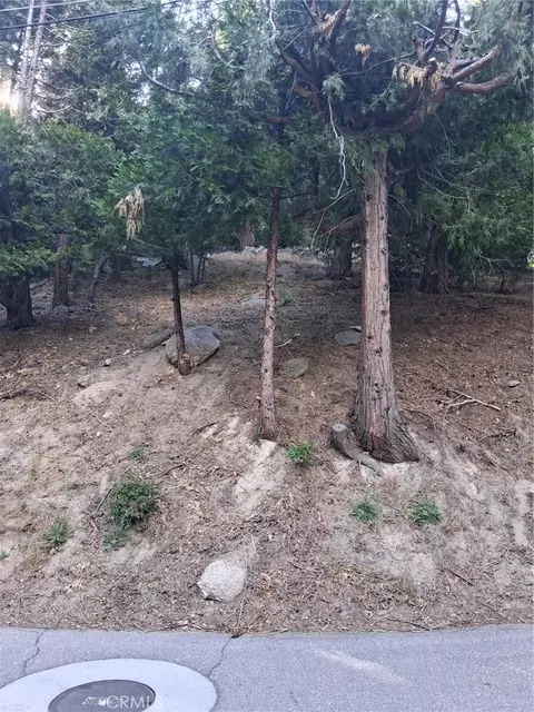 6 Finhaut Dr, Crestline, CA 92325 photo 7