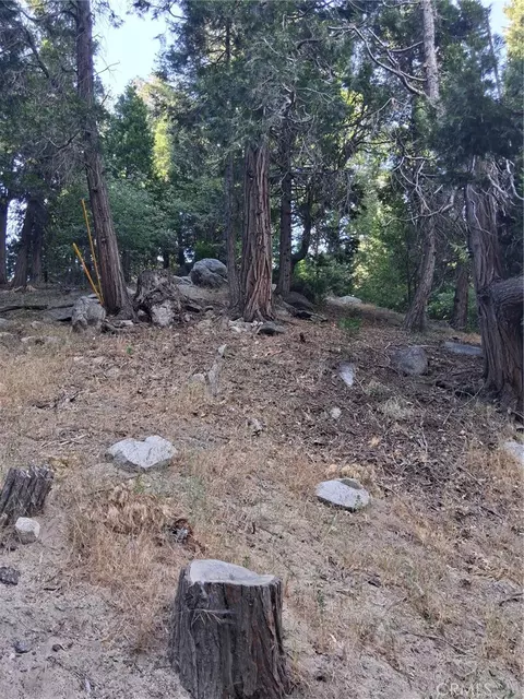 6 Finhaut Dr, Crestline, CA 92325 photo 5