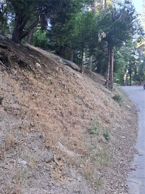 6 Finhaut Dr, Crestline, CA 92325 photo 9