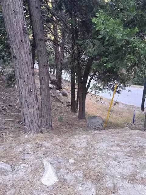6 Finhaut Dr, Crestline, CA 92325 photo 3