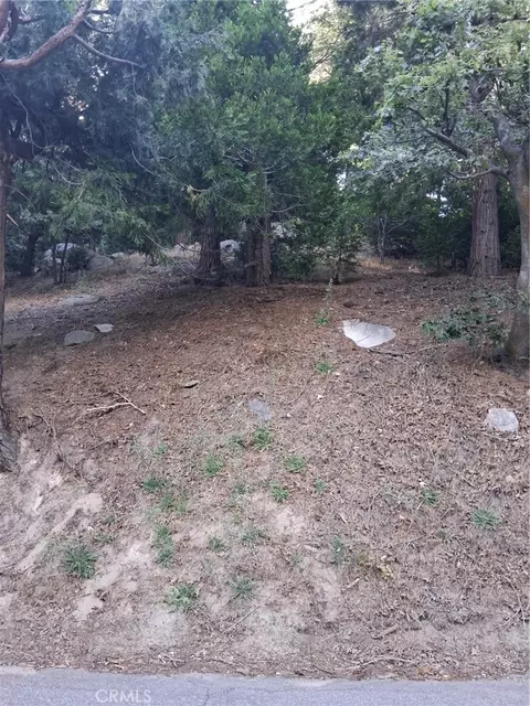 6 Finhaut Dr, Crestline, CA 92325 photo 6