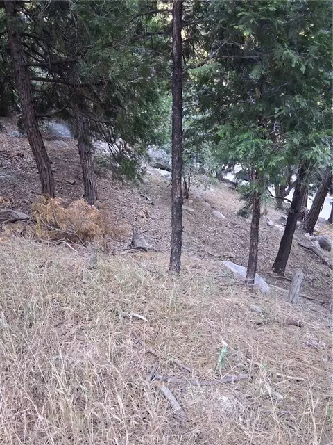 6 Finhaut Dr, Crestline, CA 92325 photo 8