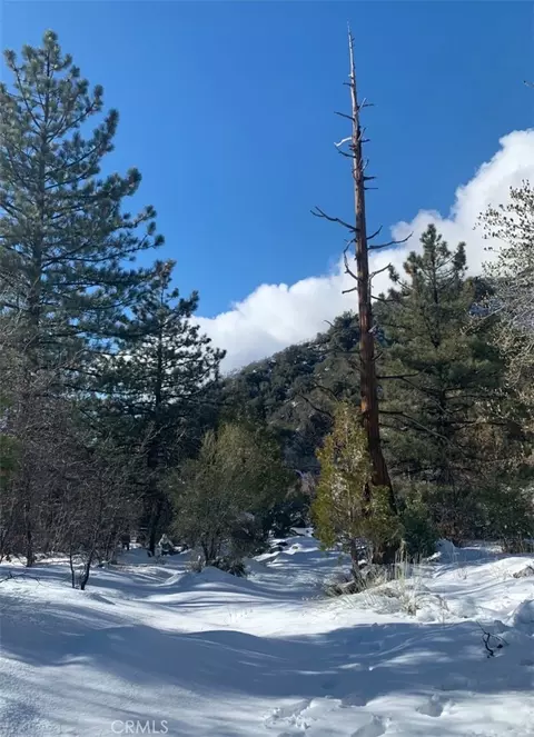 Other - 40994 Spruce, Forest Falls, CA 92339 photo 9 of 9