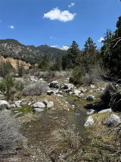 Other - 40994 Spruce, Forest Falls, CA 92339 photo 8 of 9