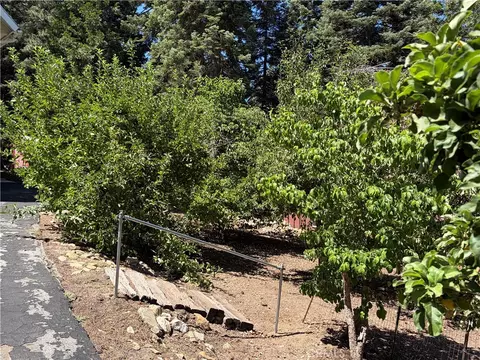 Exterior - 5974 Pine, Angelus Oaks, CA 92305 photo 8 of 19