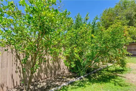 Exterior - 415 Hidalgo Ave, Redlands, CA 92374 photo 4 of 5