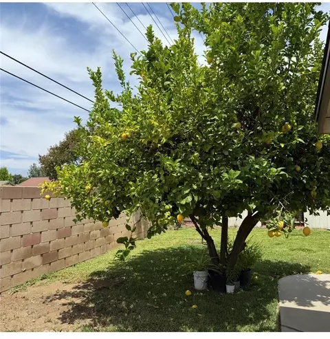 25860 Thundercloud Ct, Moreno Valley, CA 92553 photo 23