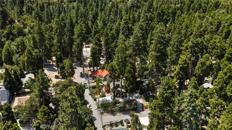 View/Area - 41035 Pine Dr, Forest Falls, CA 92339 photo 3 of 5