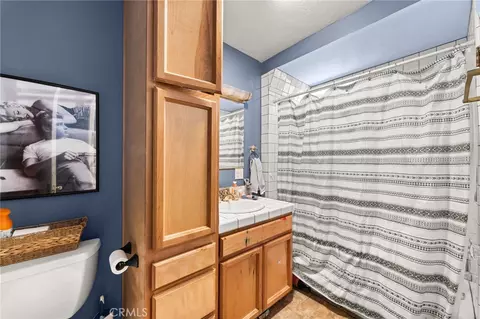 Bath - 41035 Pine Dr, Forest Falls, CA 92339 photo 3 of 5