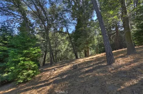 0 Pine, Cedarpines Park, CA 92322 photo 6