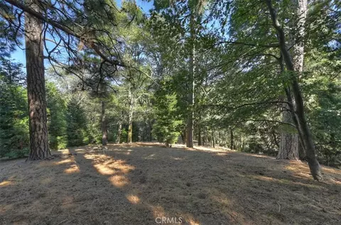 0 Pine, Cedarpines Park, CA 92322 photo 2