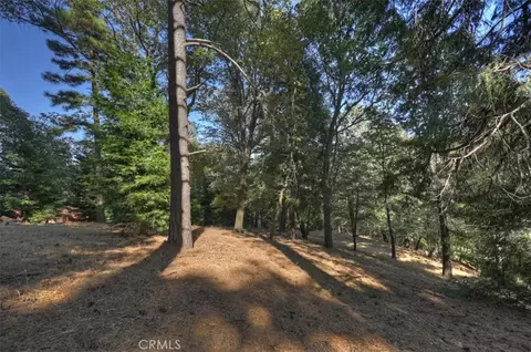 0 Pine, Cedarpines Park, CA 92322 photo 3