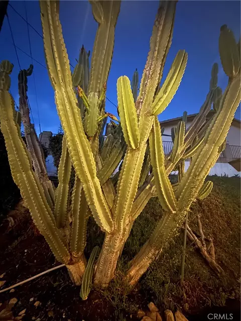 Exterior - 28764 Live Oak Rd, Highland, CA 92346 photo 21 of 25