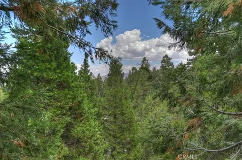 Other - 28986 Alder Ter, Cedar Glen, CA 92321 photo 1 of 7