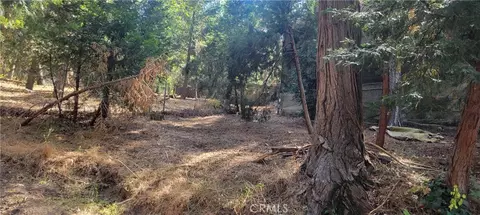 Other - 21891 Plunge, Cedarpines Park, CA 92322 photo 10 of 12