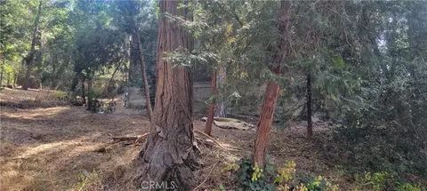 Other - 21891 Plunge, Cedarpines Park, CA 92322 photo 11 of 12