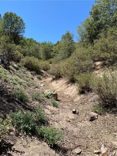 0 Hill Dr, Cedar Glen, CA 92321 photo 3