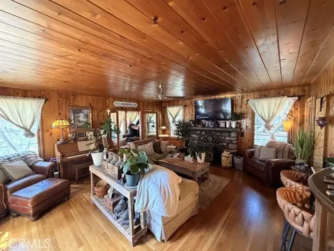 Living - 9544 Snow Drift, Forest Falls, CA 92339 photo 1 of 2