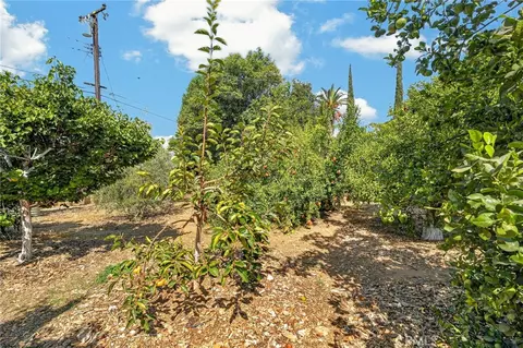 Exterior - 302 S San Mateo St, Redlands, CA 92373 photo 7 of 12