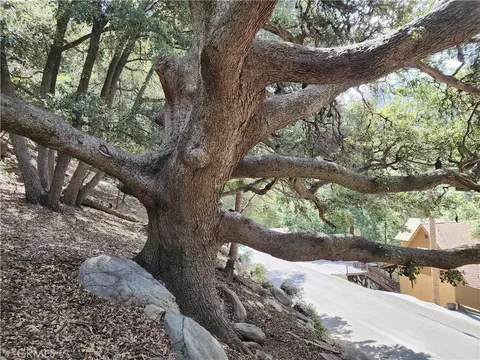 1127 Arbula Dr, Crestline, CA 92325 photo 20