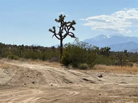 Other - 7374 Olympic Rd, Joshua Tree, CA 92252 photo 5 of 7