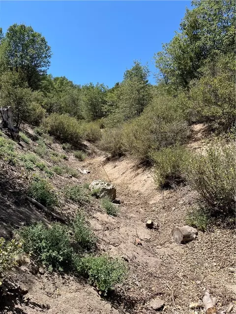 0 Hill Dr, Cedar Glen, CA 92321 photo 6