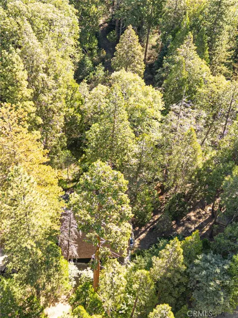 View/Area - 385 Birchwood, Lake Arrowhead, CA 92352 photo 2 of 2