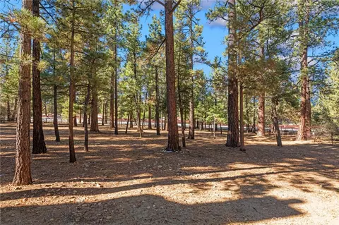Exterior - 1520 Fallbrook Ct, Big Bear City, CA 92314 photo 9 of 17