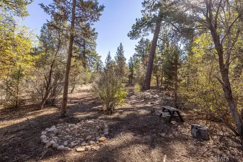 Exterior - 719 Pine, Sugarloaf, CA 92386 photo 7 of 8