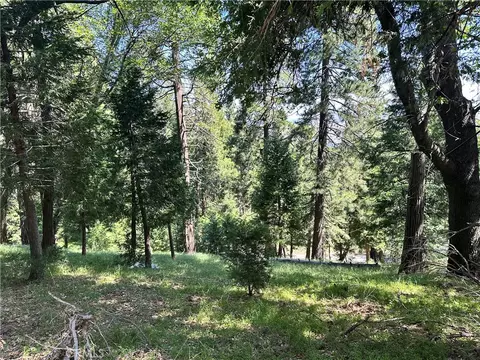 0 Bone Dr, Cedarpines Park, CA 92322