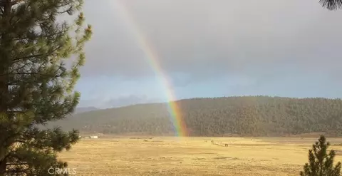 2809 Cedar Ln, Big Bear City, CA 92314