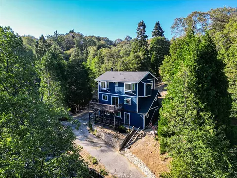 Other - 29282 Pine Dr, Cedar Glen, CA 92321 photo 1 of 11