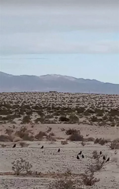 0 Jojoba Dr, Twentynine Palms, CA 92277